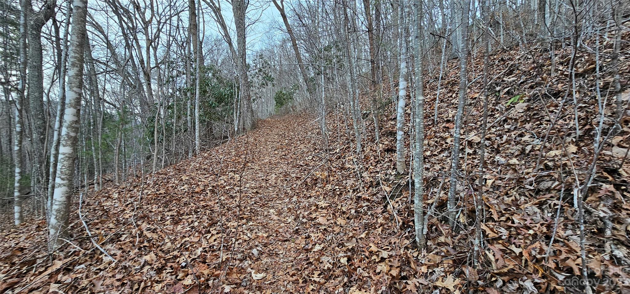 4 Lots Seay Mountain Road Waynesville NC 28785