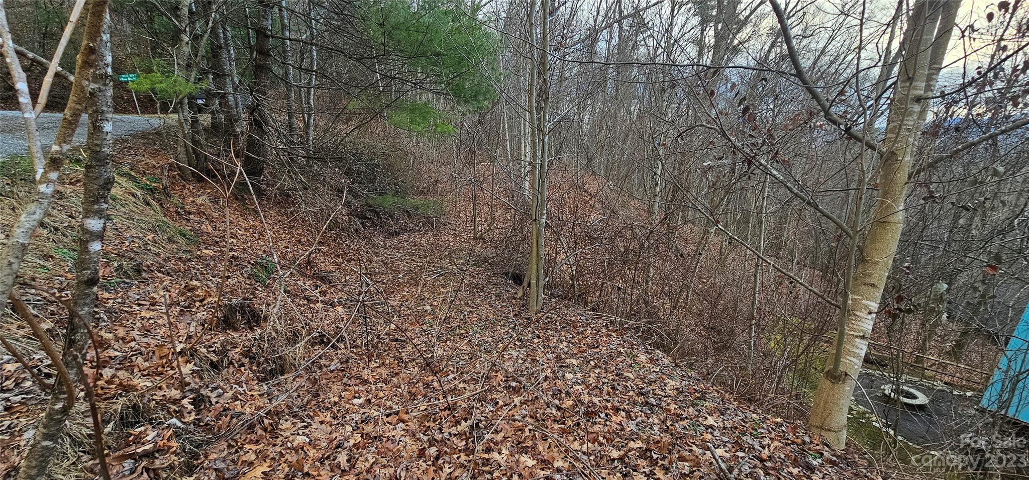 4 Lots Seay Mountain Road Waynesville NC 28785