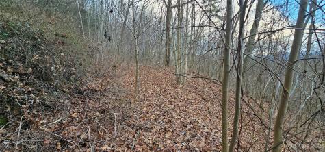 4 Lots Seay Mountain Road Waynesville NC 28785