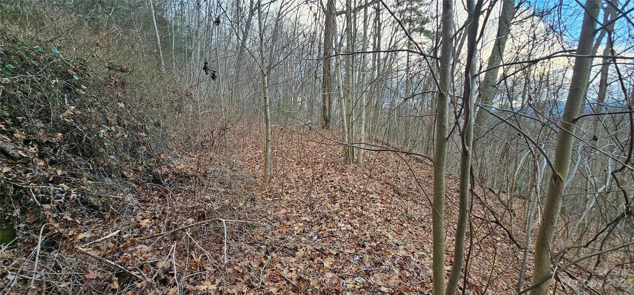 4 Lots Seay Mountain Road Waynesville NC 28785