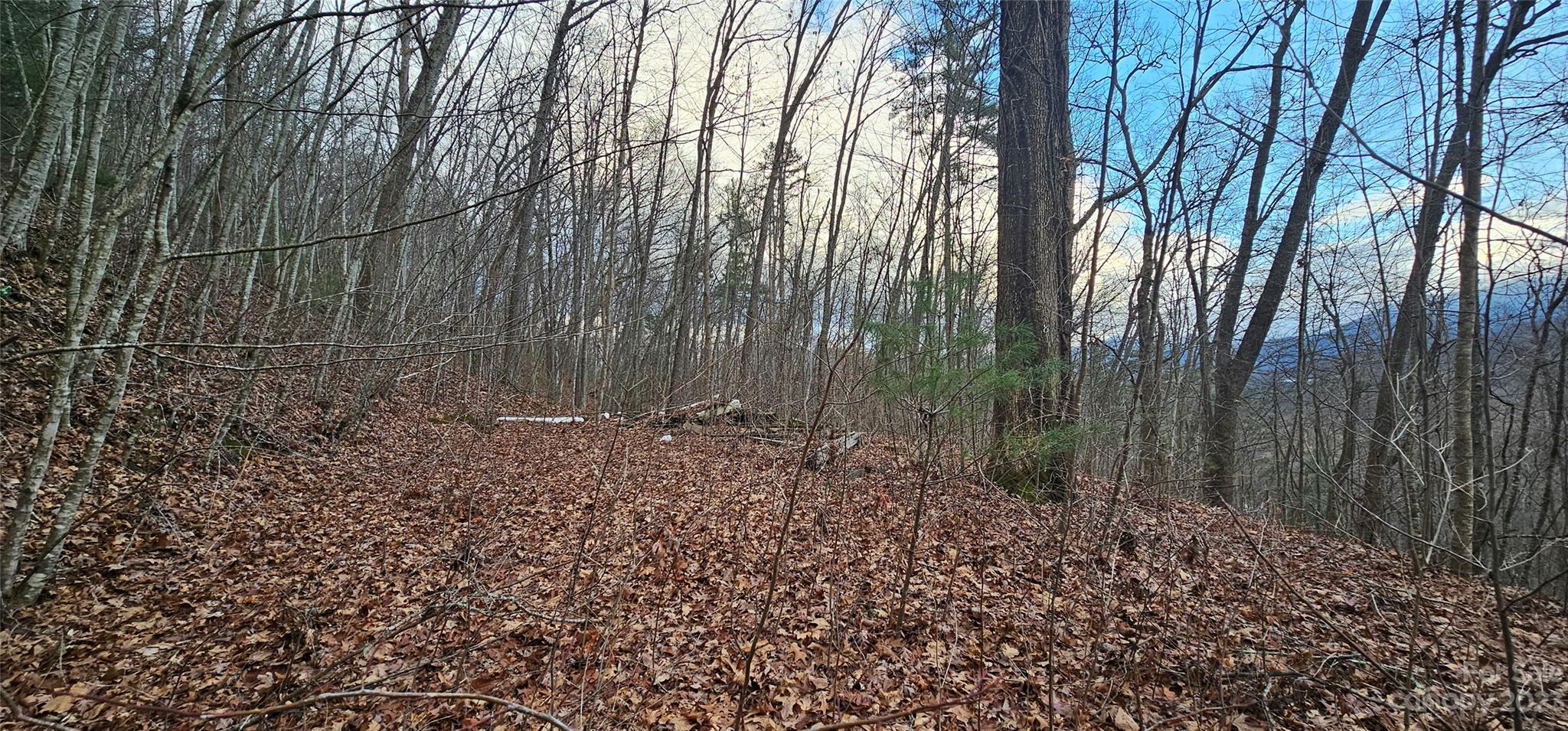 4 Lots Seay Mountain Road Waynesville NC 28785