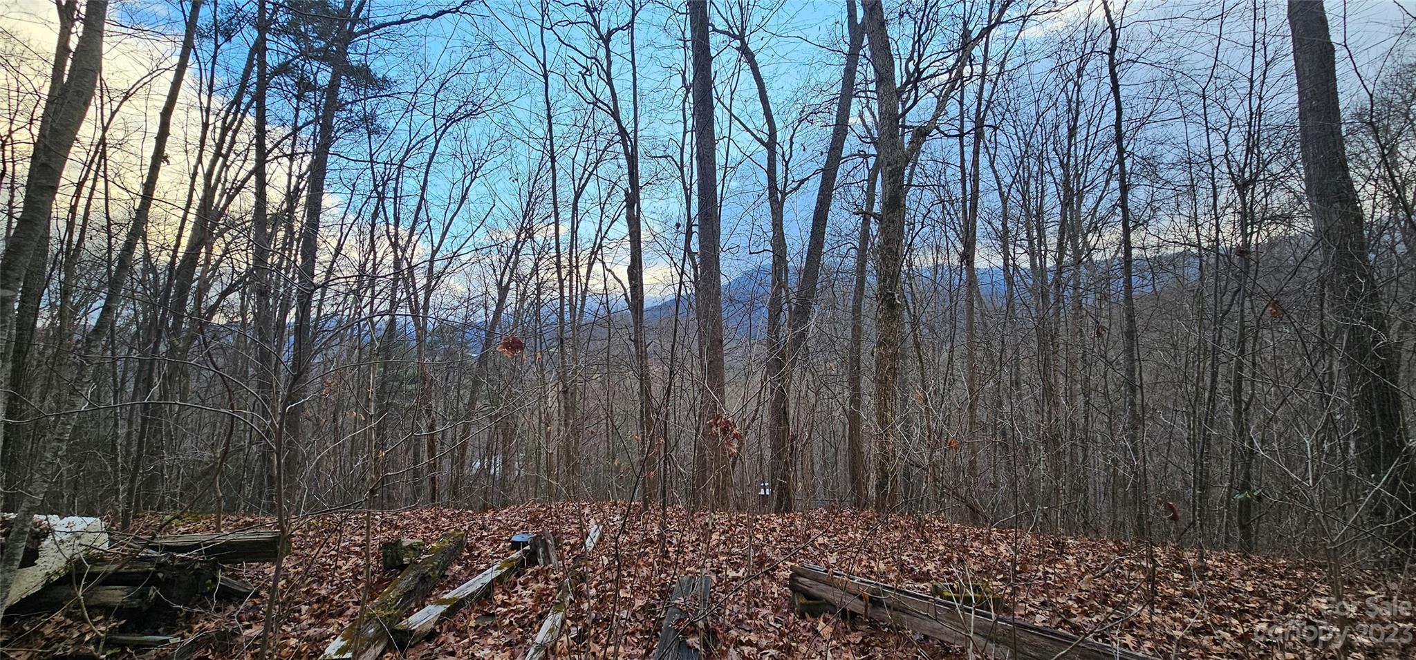 4 Lots Seay Mountain Road Waynesville NC 28785