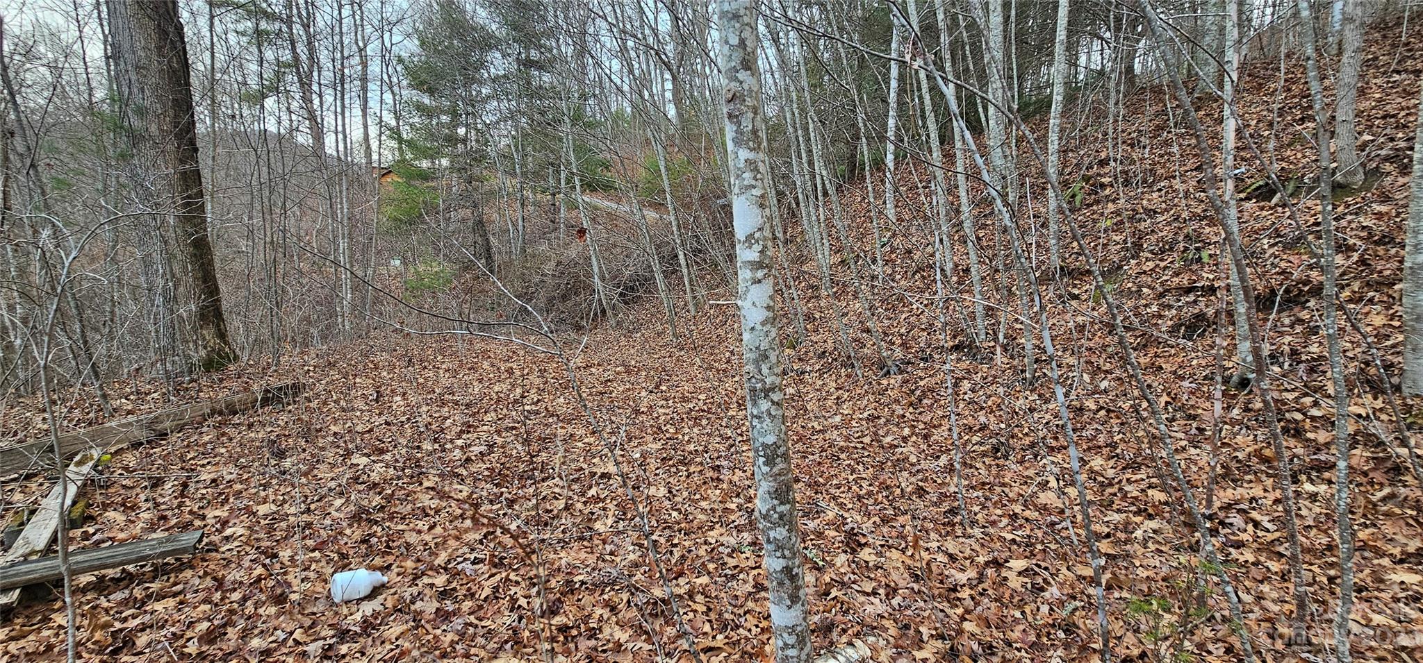 4 Lots Seay Mountain Road Waynesville NC 28785