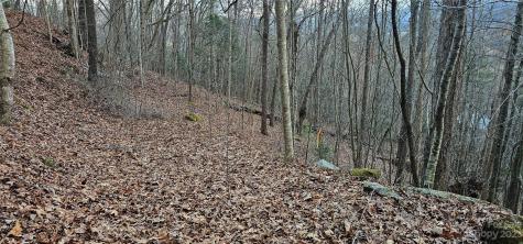4 Lots Seay Mountain Road Waynesville NC 28785