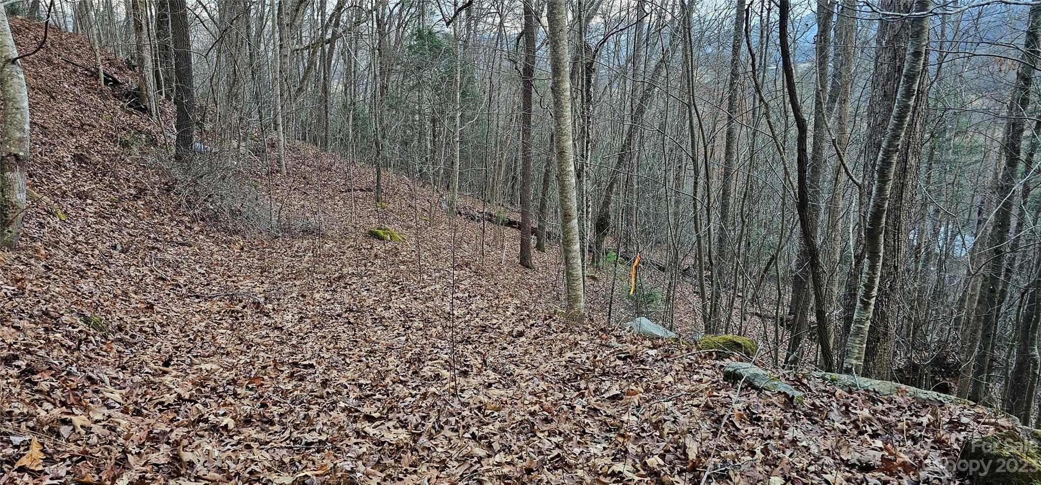 4 Lots Seay Mountain Road Waynesville NC 28785