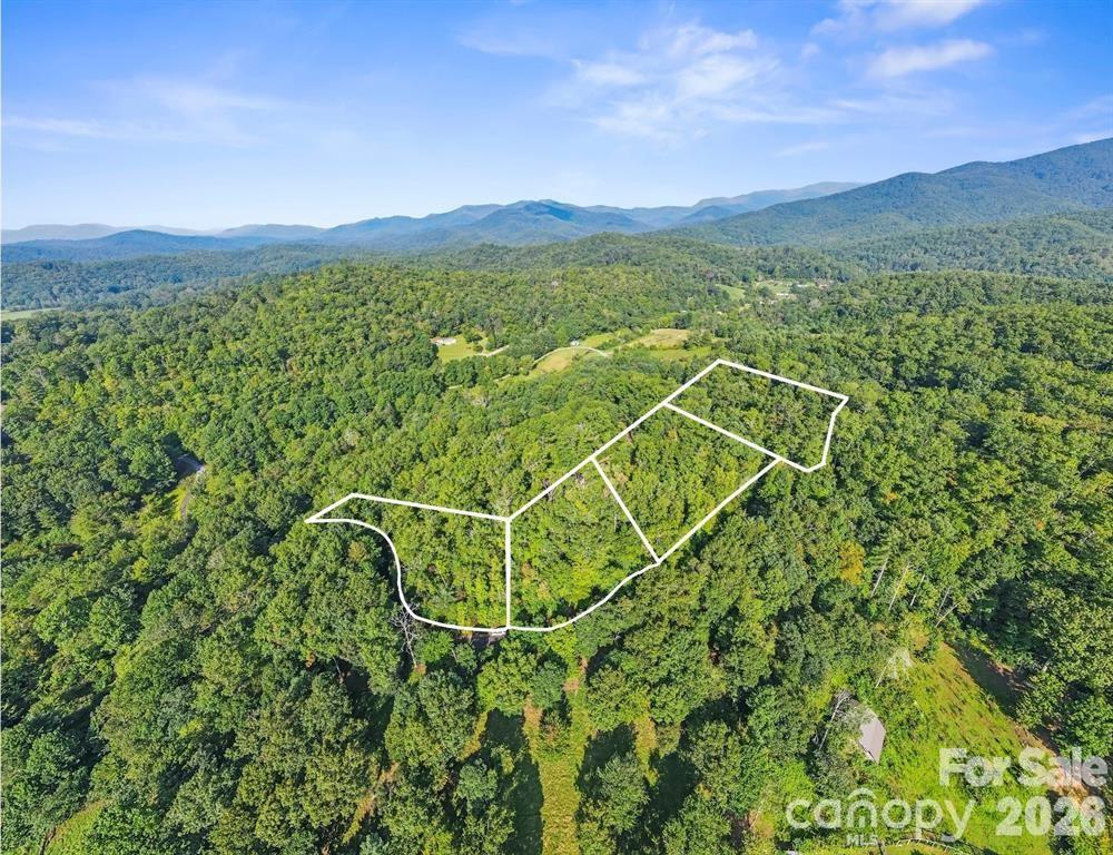 Tbd Barts Branch Drive Balsam Grove NC 28708