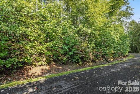 Tbd Barts Branch Drive Balsam Grove NC 28708