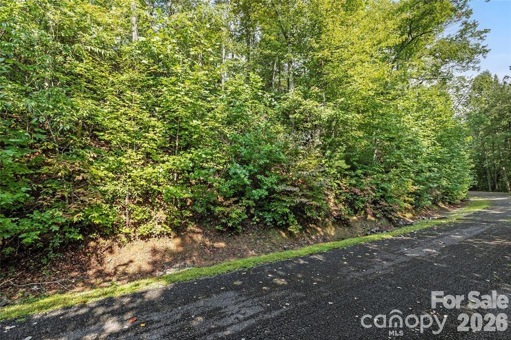 Tbd Barts Branch Drive Balsam Grove NC 28708