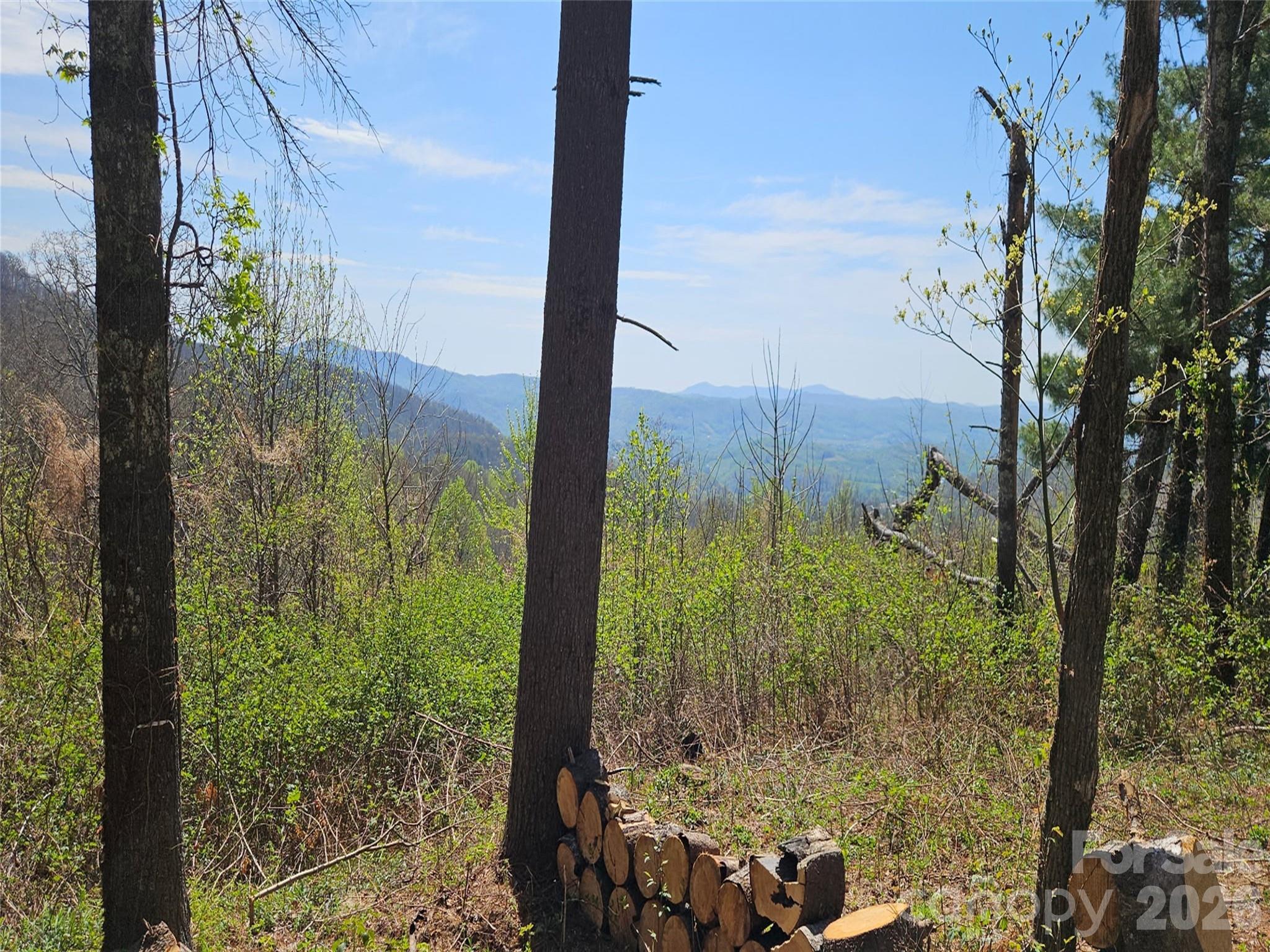#178 Dancing Bear Drive Hendersonville NC 28792