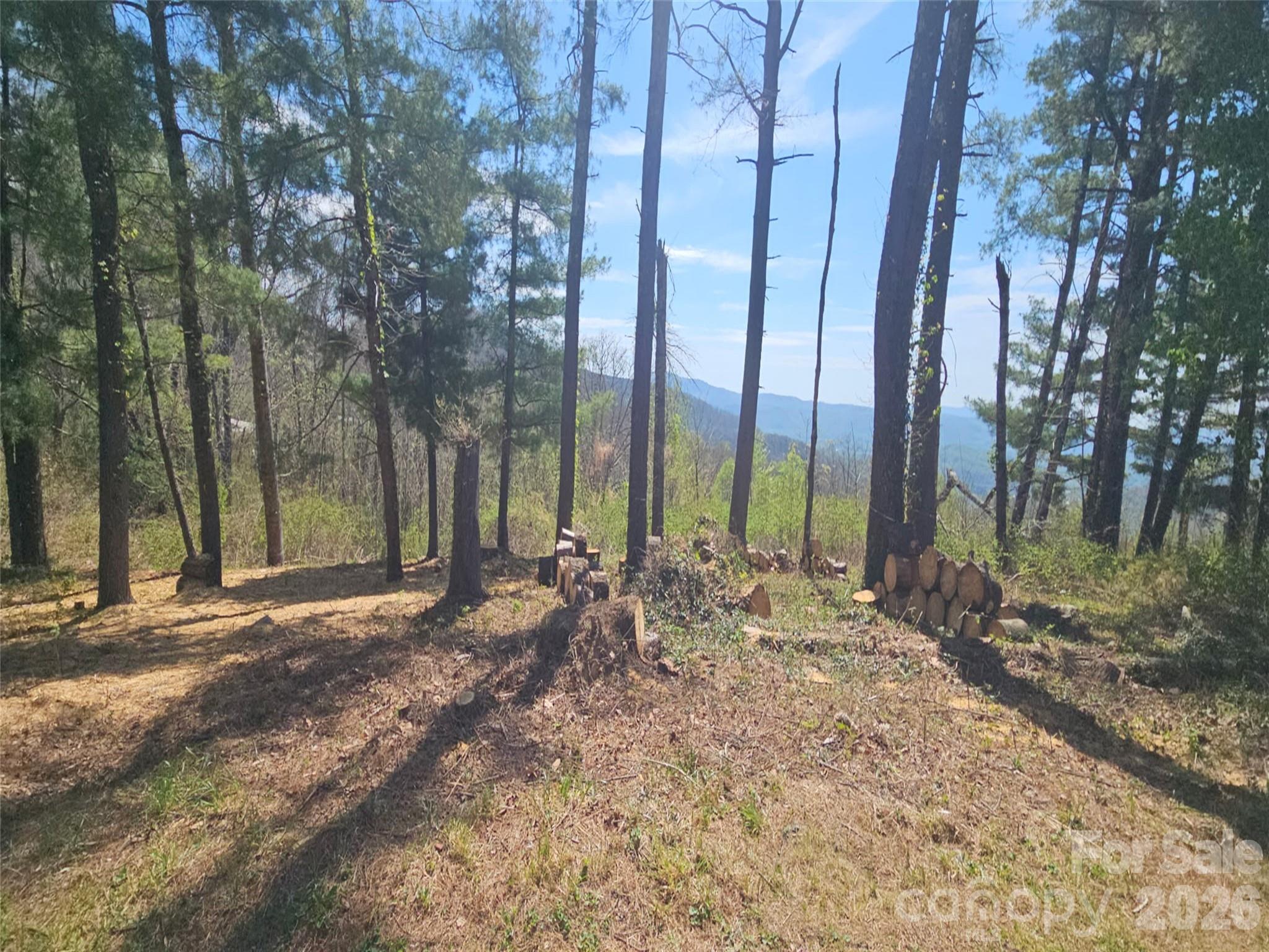 #178 Dancing Bear Drive Hendersonville NC 28792