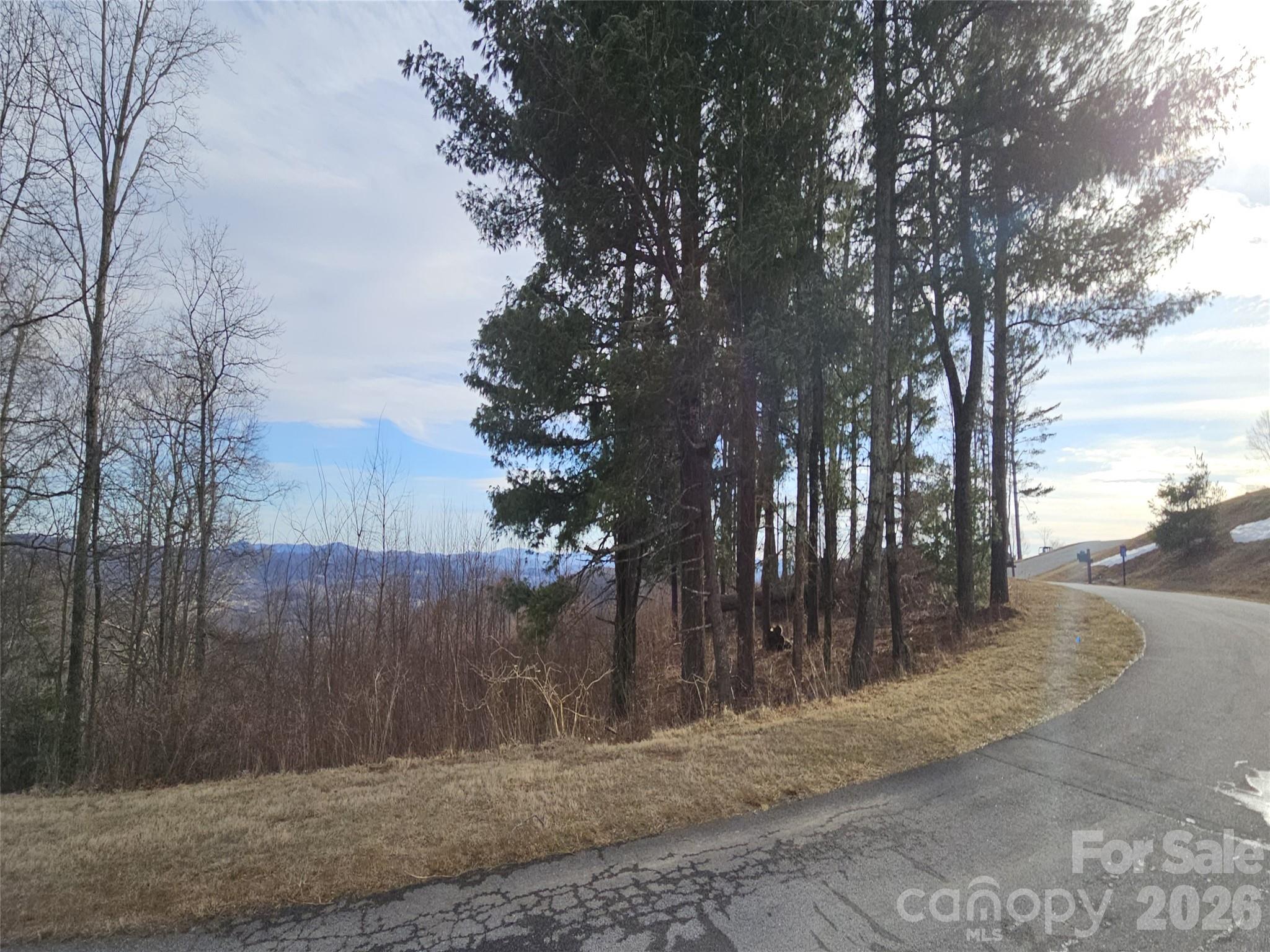 #178 Dancing Bear Drive Hendersonville NC 28792