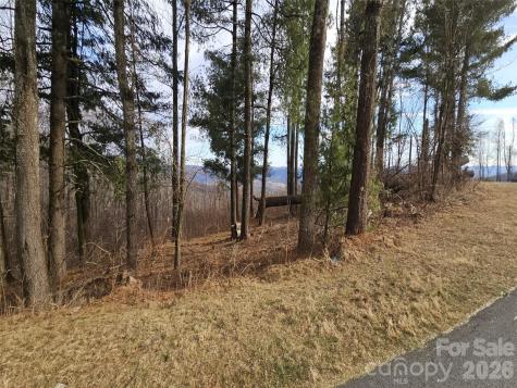 #178 Dancing Bear Drive Hendersonville NC 28792