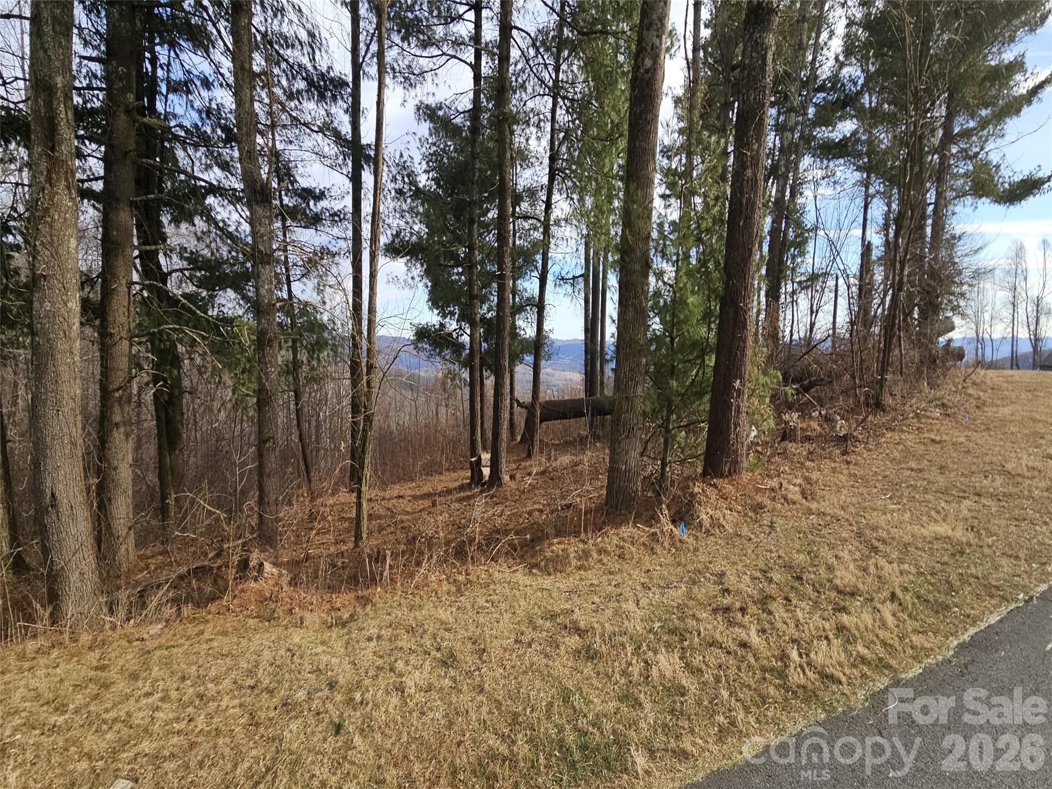 #178 Dancing Bear Drive Hendersonville NC 28792