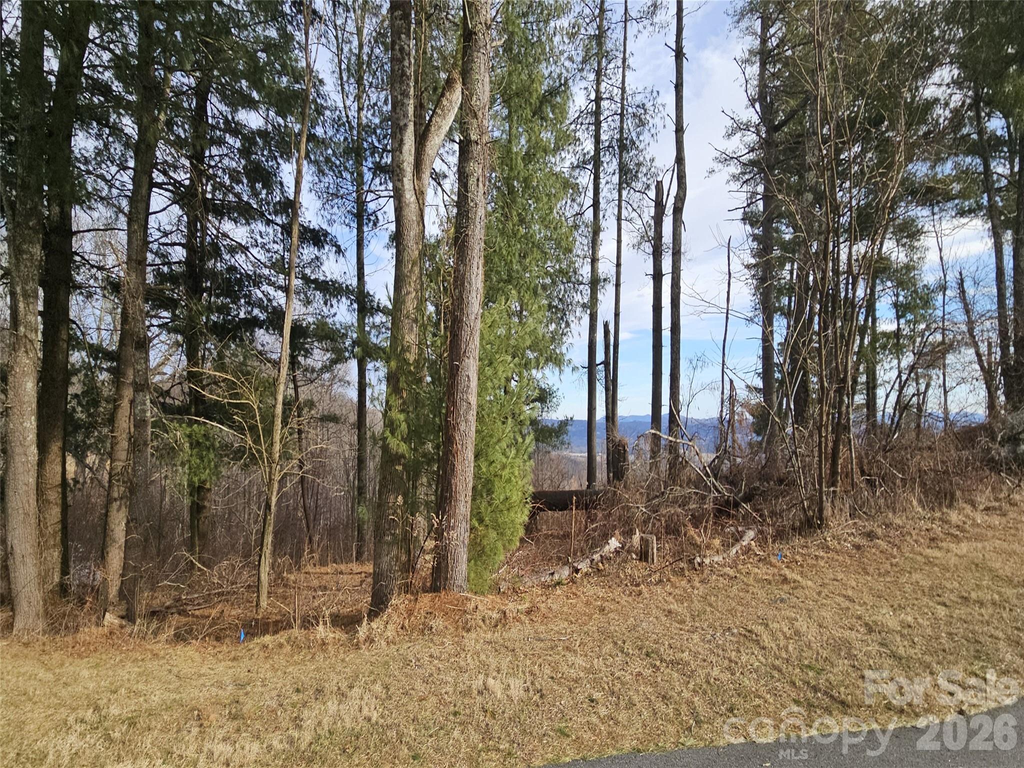#178 Dancing Bear Drive Hendersonville NC 28792