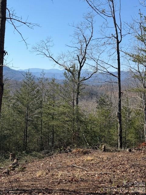 000 Dobson Knob Loop Road Marion NC 28752