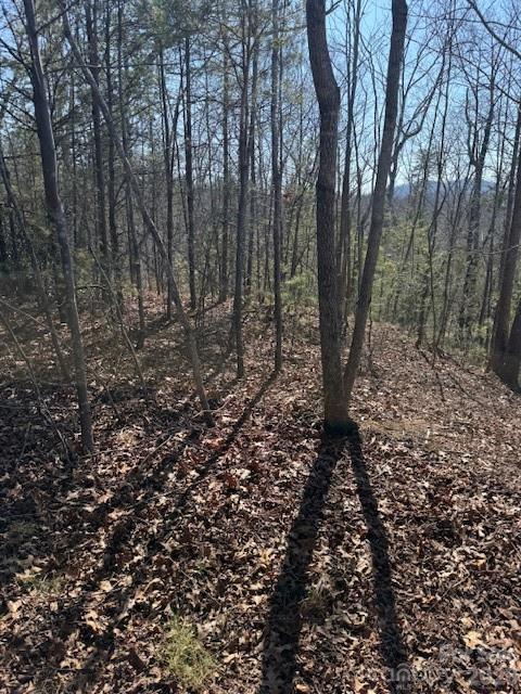 000 Dobson Knob Loop Road Marion NC 28752