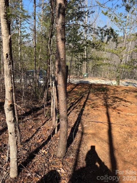 000 Dobson Knob Loop Road Marion NC 28752