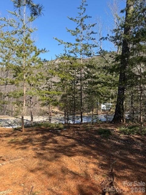 000 Dobson Knob Loop Road Marion NC 28752