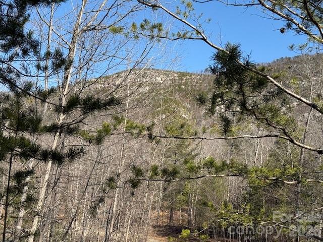 000 Dobson Knob Loop Road Marion NC 28752