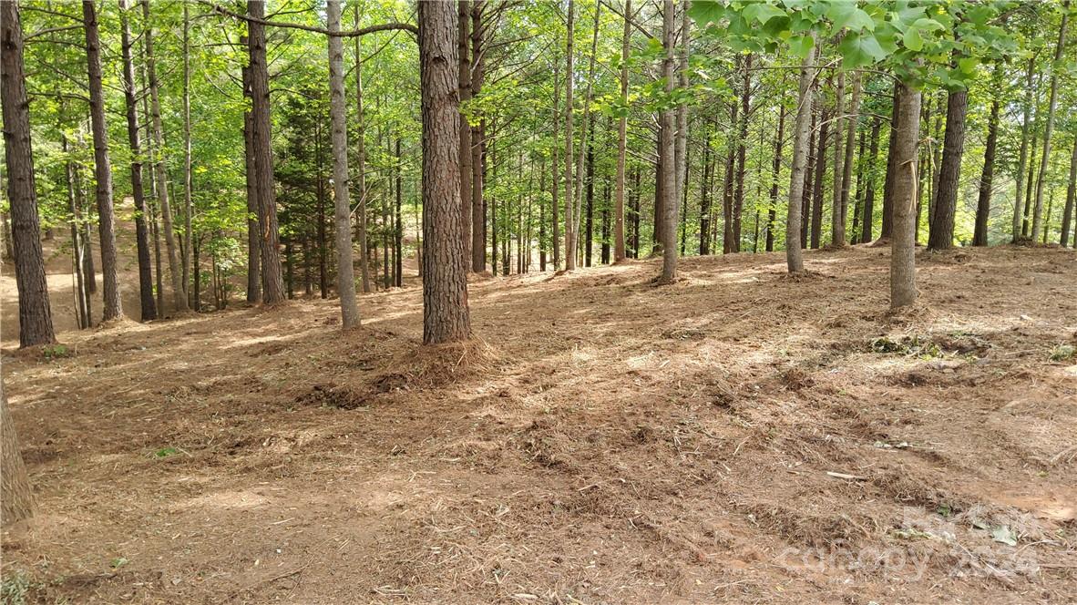 0 Hearthstone Drive Union Mills NC 28167