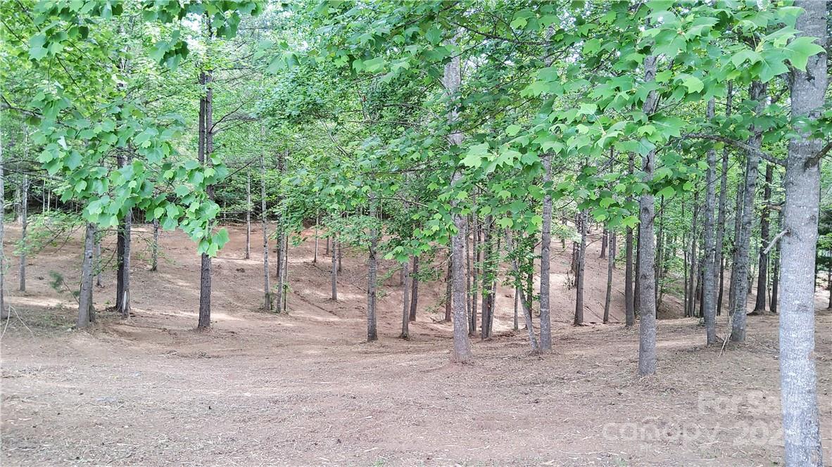0 Hearthstone Drive Union Mills NC 28167