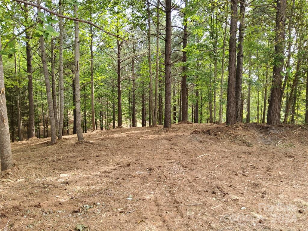0 Hearthstone Drive Union Mills NC 28167