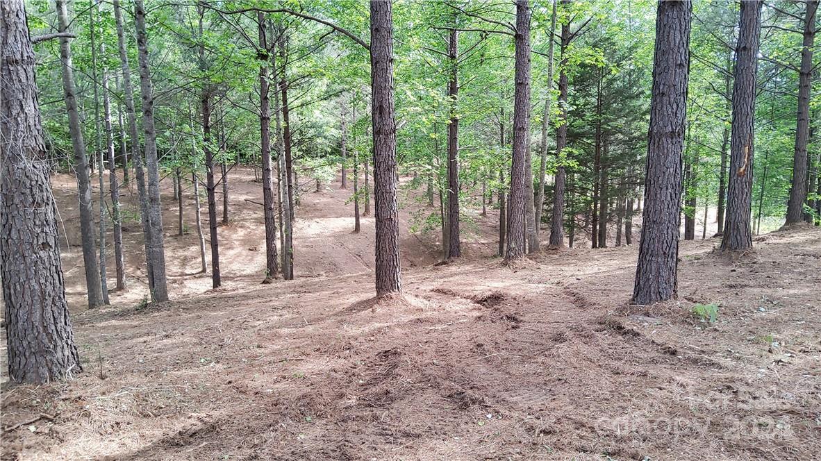 0 Hearthstone Drive Union Mills NC 28167