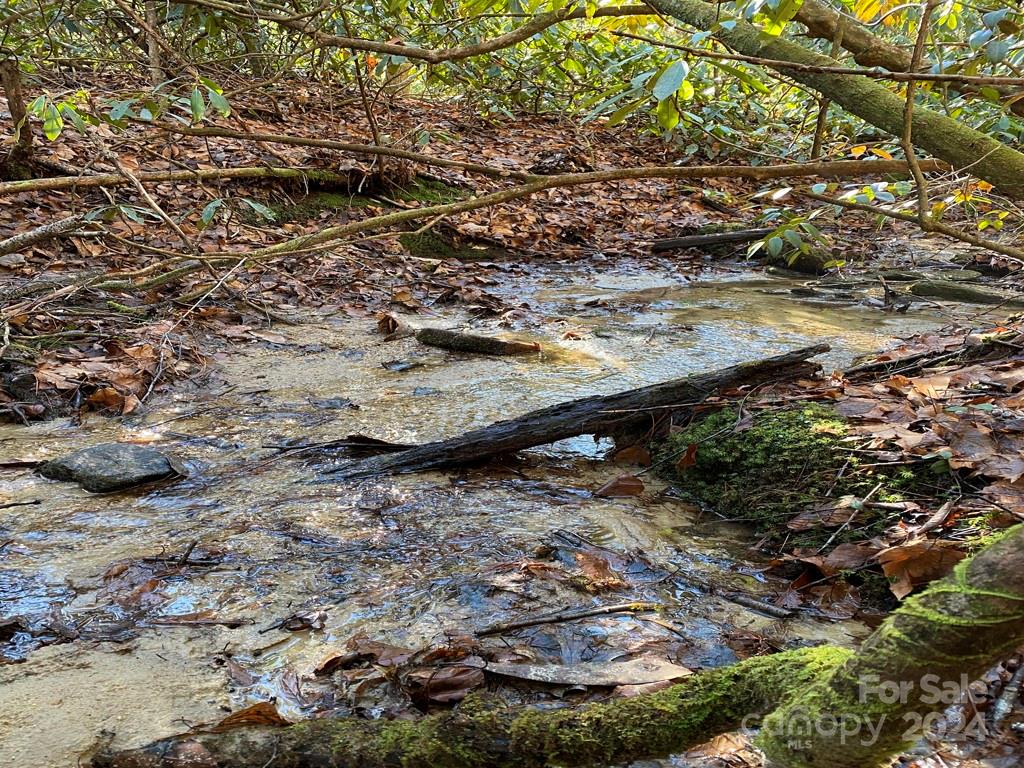 L41 Abby Falls Road Rosman NC 28772