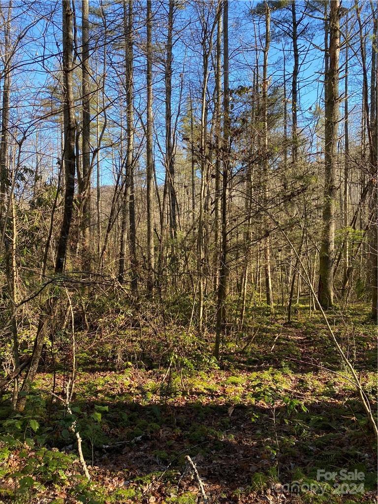 L41 Abby Falls Road Rosman NC 28772