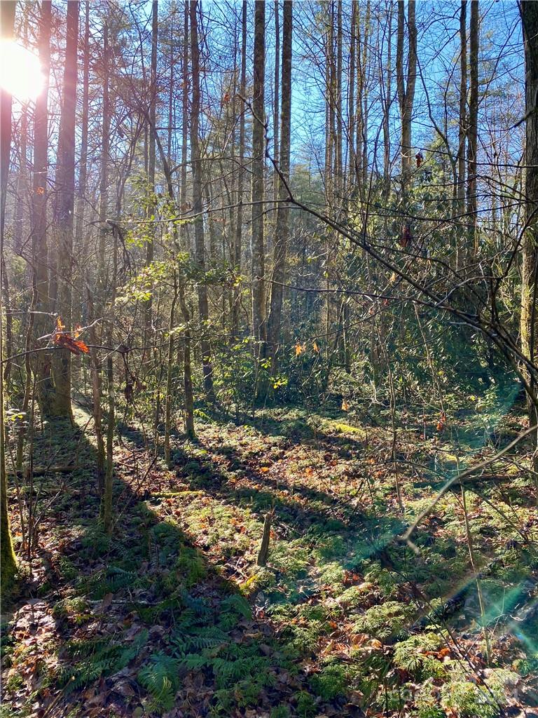 L41 Abby Falls Road Rosman NC 28772