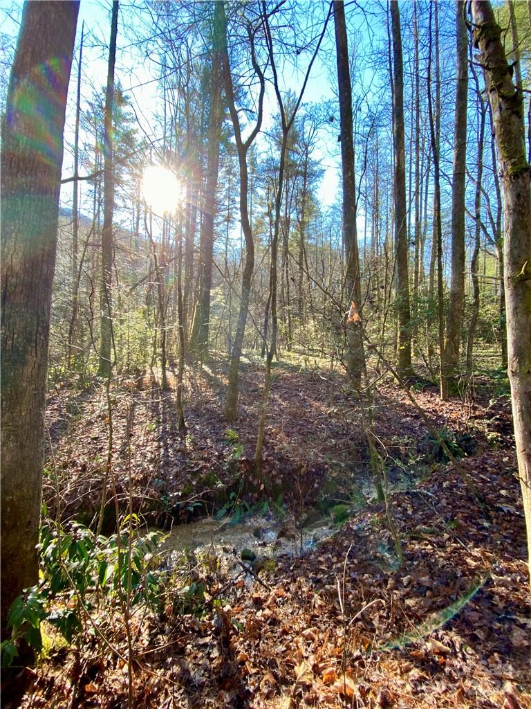 L41 Abby Falls Road Rosman NC 28772