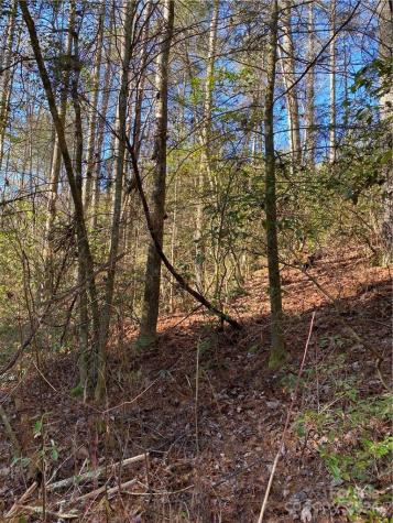 L41 Abby Falls Road Rosman NC 28772