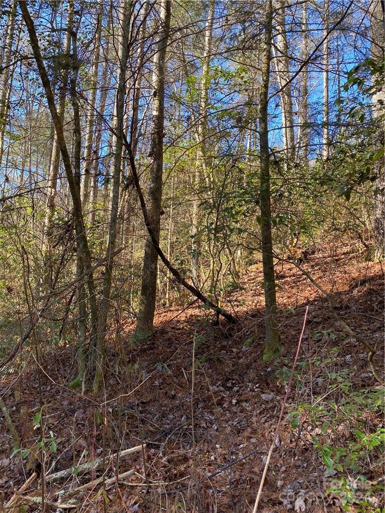 L41 Abby Falls Road Rosman NC 28772