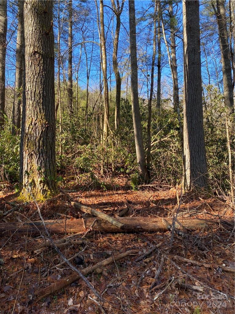 L41 Abby Falls Road Rosman NC 28772