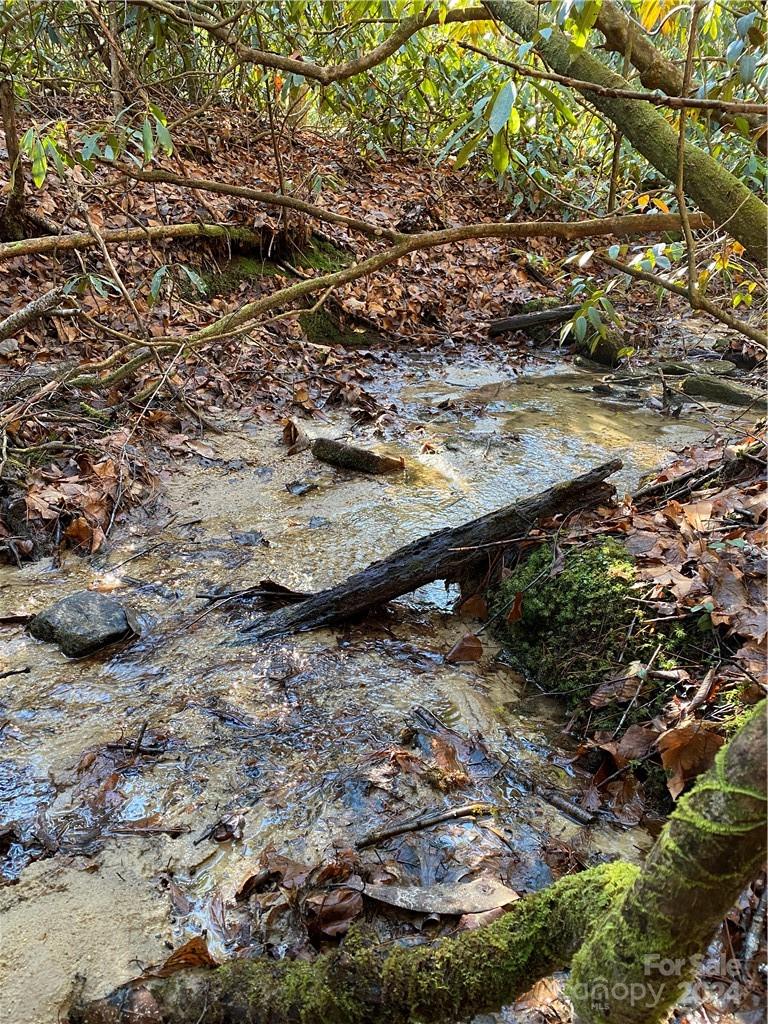 L41 Abby Falls Road Rosman NC 28772