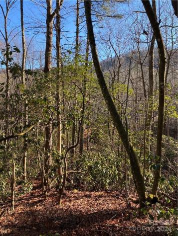 L41 Abby Falls Road Rosman NC 28772