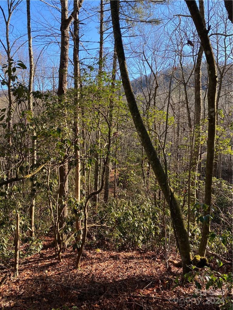 L41 Abby Falls Road Rosman NC 28772