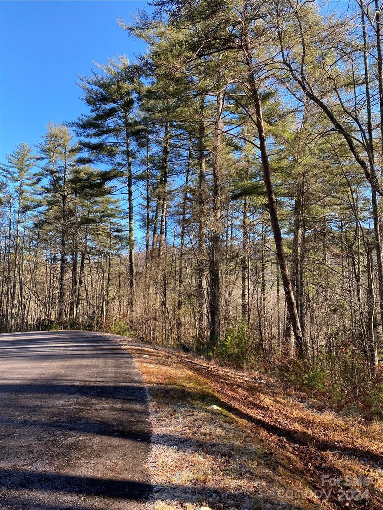L41 Abby Falls Road Rosman NC 28772