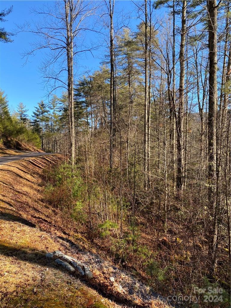 L41 Abby Falls Road Rosman NC 28772
