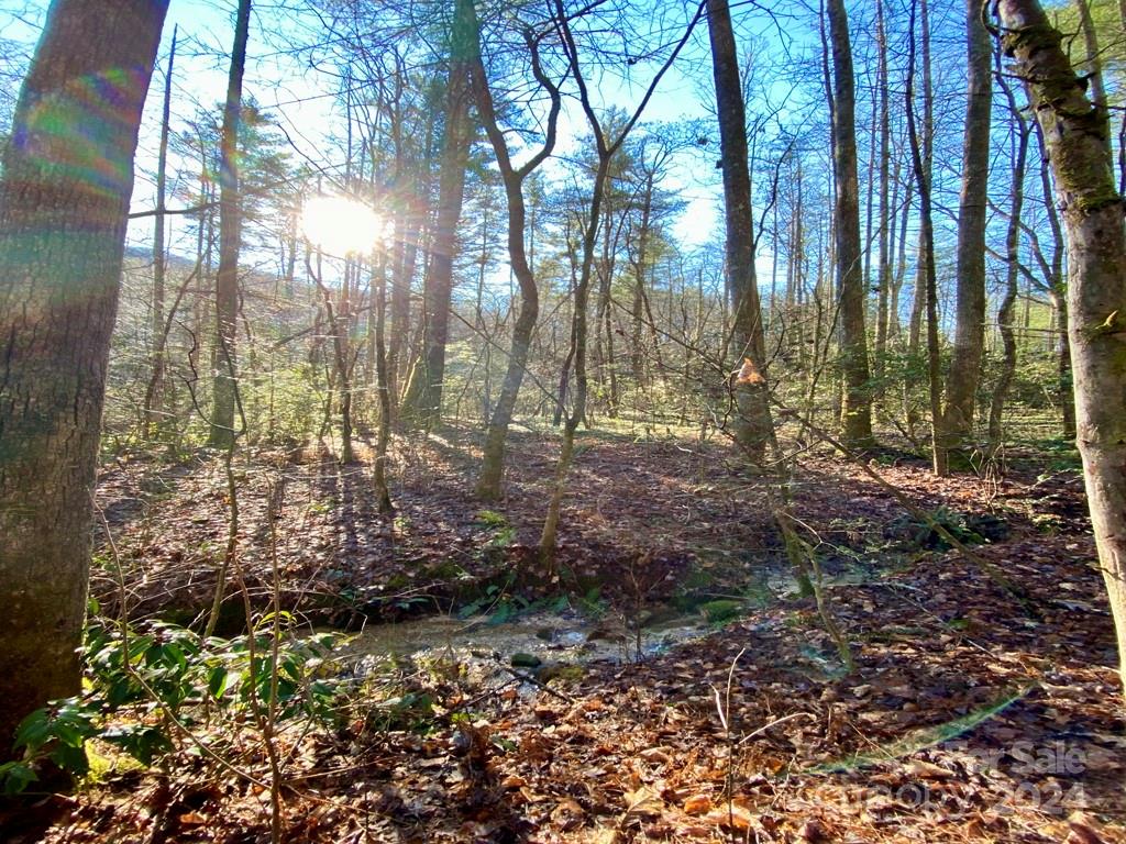 L41 Abby Falls Road Rosman NC 28772