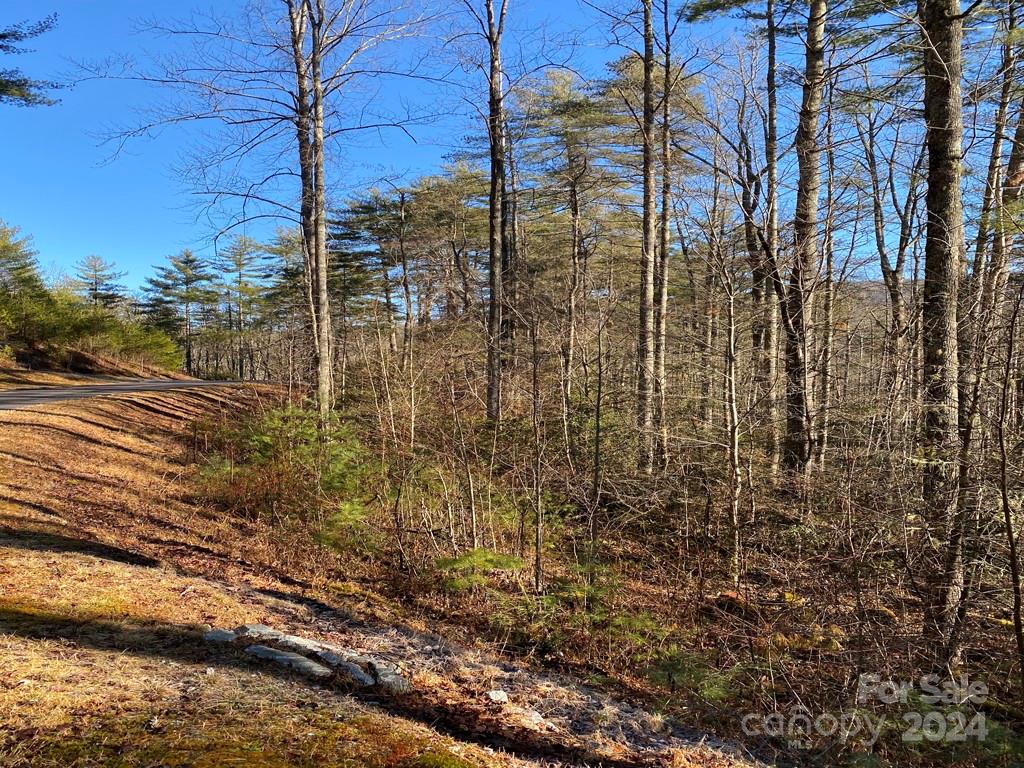 L41 Abby Falls Road Rosman NC 28772