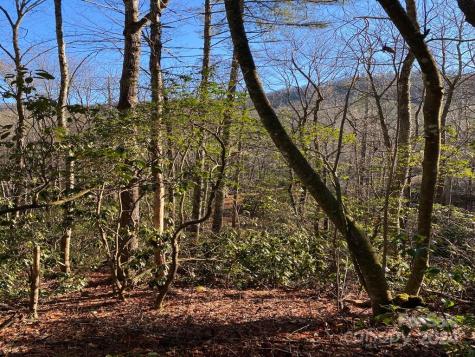 L41 Abby Falls Road Rosman NC 28772