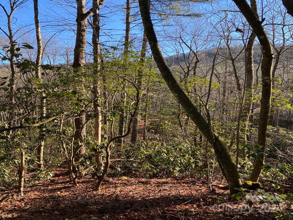 L41 Abby Falls Road Rosman NC 28772