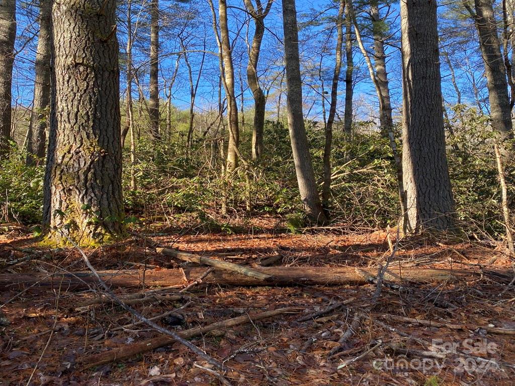 L41 Abby Falls Road Rosman NC 28772