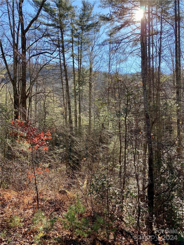 L41 Abby Falls Road Rosman NC 28772