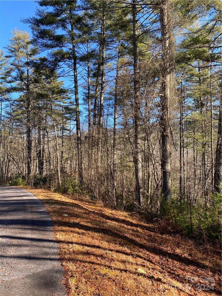 L41 Abby Falls Road Rosman NC 28772