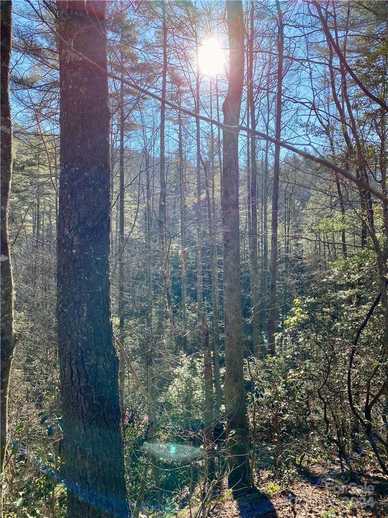 L41 Abby Falls Road Rosman NC 28772