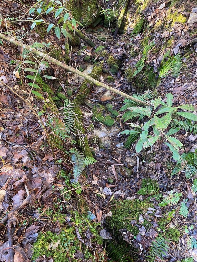 L41 Abby Falls Road Rosman NC 28772