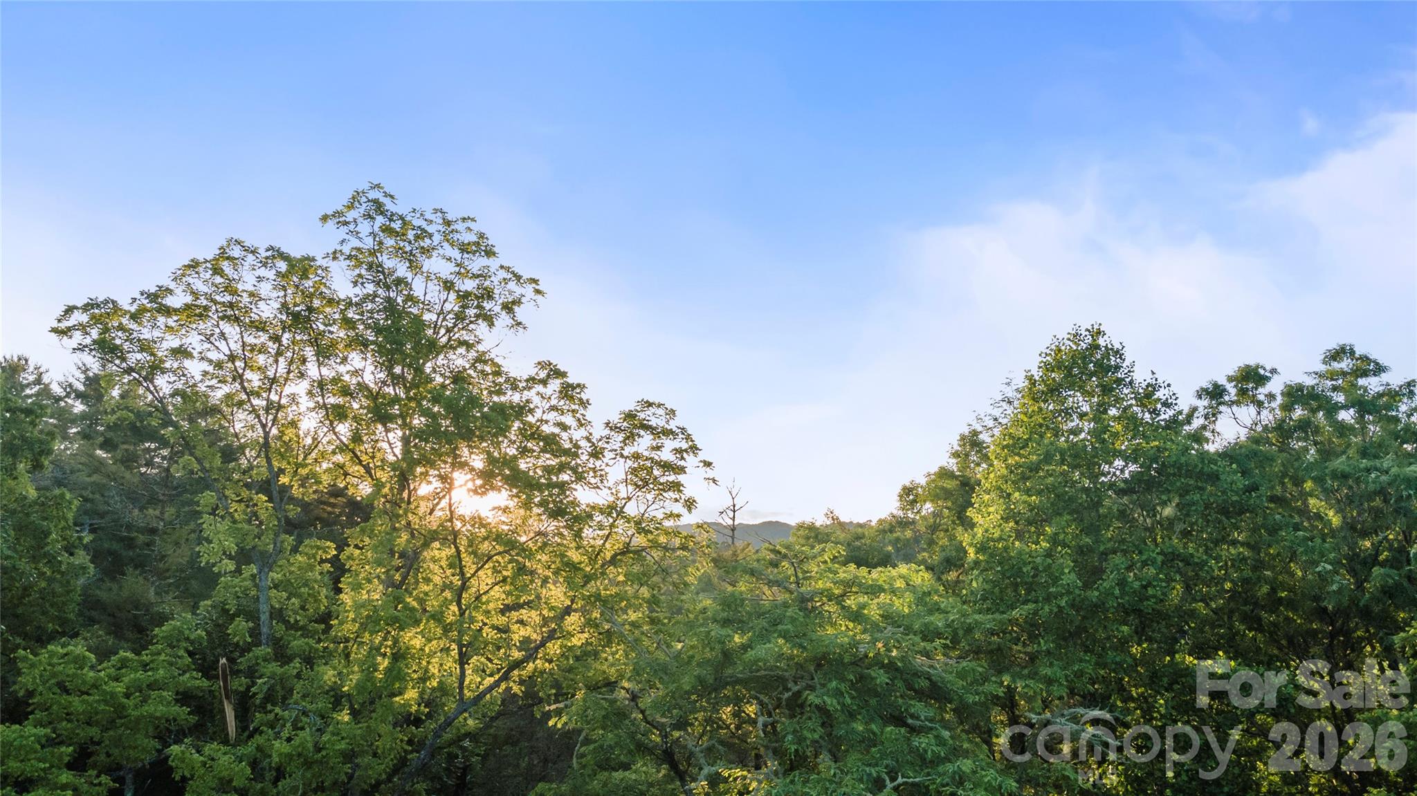 99999 Bear Creek Road Marshall NC 28753