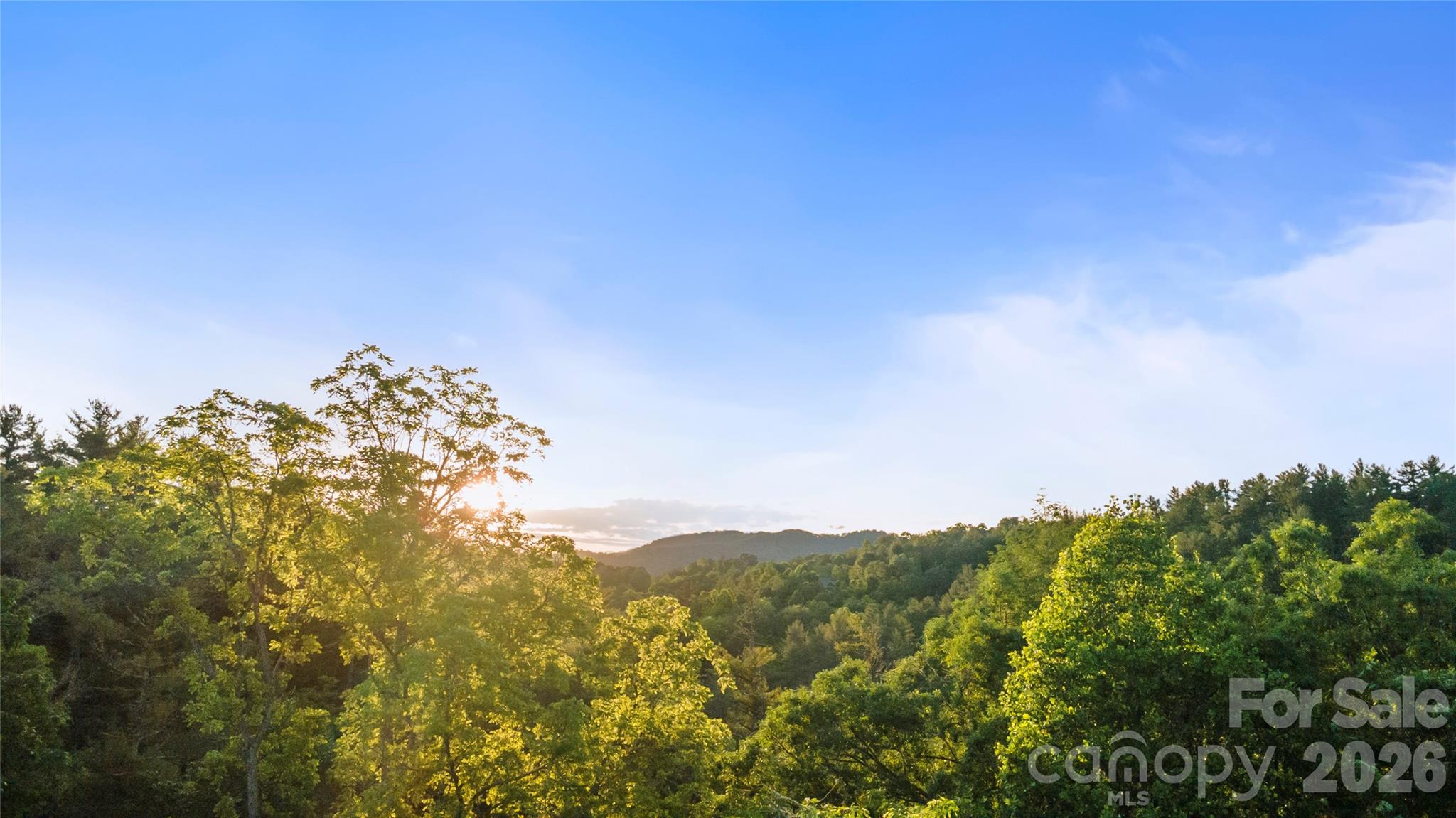 99999 Bear Creek Road Marshall NC 28753